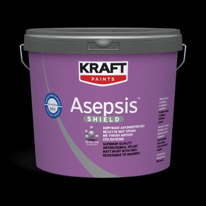 ΠΛΑΣΤΙΚΟ ΧΡΩΜΑ ASEPSIS ΛΕΥΚΟ ΒΕΛΟΥΤΕ ΜΑΤ (10L) KRAFT